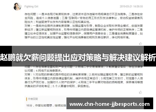 赵鹏就欠薪问题提出应对策略与解决建议解析 赵鹏就欠薪问题提出应对策略与解决建议解析