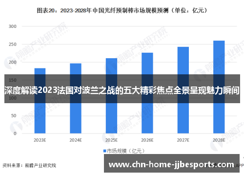 深度解读2023法国对波兰之战的五大精彩焦点全景呈现魅力瞬间