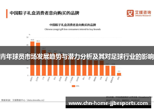 青年球员市场发展趋势与潜力分析及其对足球行业的影响