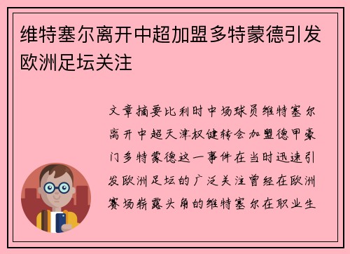 维特塞尔离开中超加盟多特蒙德引发欧洲足坛关注