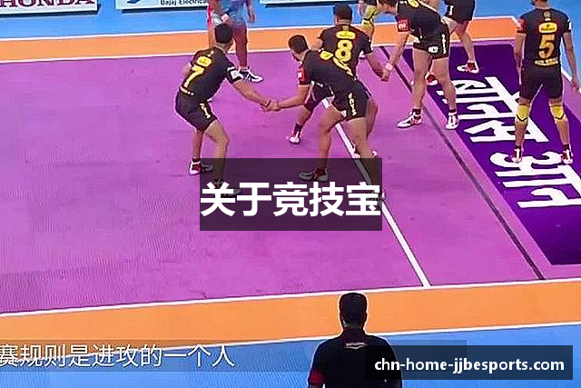 关于竞技宝